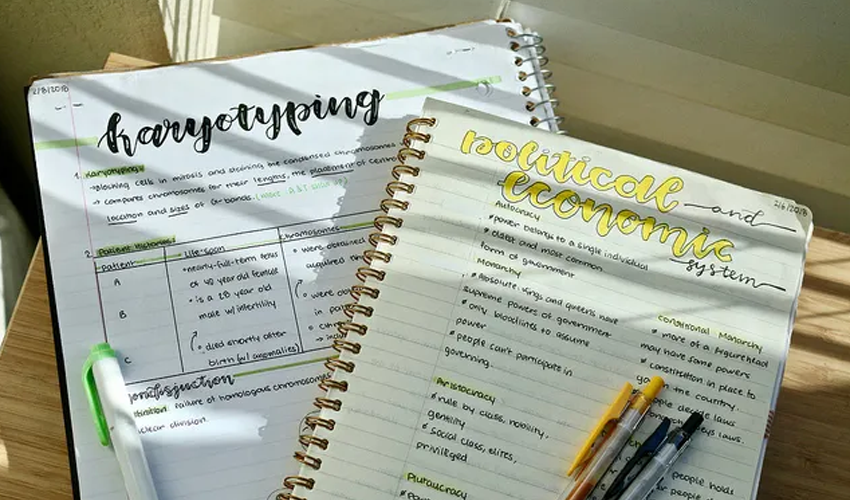 Clinical	notes	and	quick-reference	guides